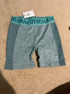 Gymshark Women’s Teal Seamless Bike Shorts
